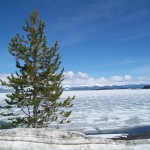 Yellowstone Lake unter Eis