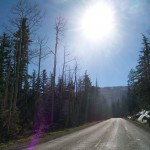 Der Sonne entgegen