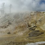 Mammoth Hot Springs