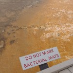 Do not touch - Ausläufer eines Geysir Sees