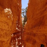 Fast am Fuß der Canyonwände - fast