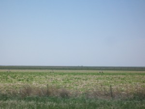 Das wird nicht spannender mit der Landschaft