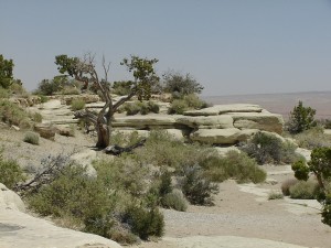 Bereich Devil's Canyon