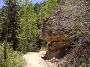 Kaibab Trail