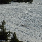 Spuren im Schnee