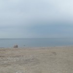 Eriesee Panorama