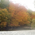 Eriesee Ufer und Zufluss