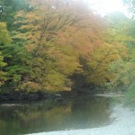 Erieseeidylle
