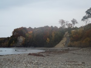 Erieseeufer Ostblick