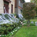 Halloween in bester Wohnlage