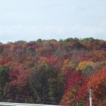 Indian Summer