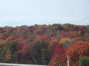 Indian Summer