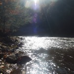 Loyalsock Creek - Warum auch immer die auf die loyale Socke kommen Loyalsock Creek - Warum auch immer die auf die loyale Socke kommen