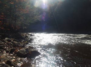 Loyalsock Creek - Warum auch immer die auf die loyale Socke kommen