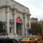 Museum of Natural History - morgens