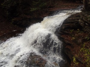 Wildes Wasser