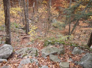 Worlds End - High Rocks Trail, anstrengend, anstrengend