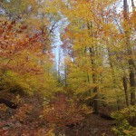 Worlds End - Indian Summer Worlds End - Indian Summer