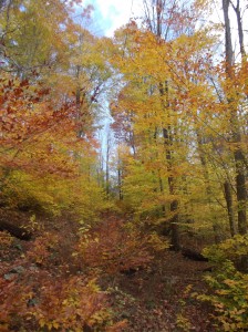 Worlds End - Indian Summer