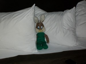 Weltenbummler Hasi Weltenbummler Hasi