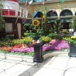 20130524_133007