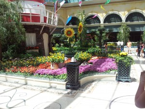 20130524_133007
