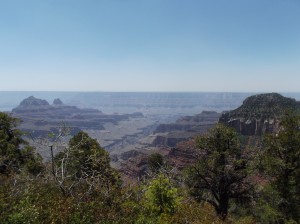 DSCF1980