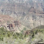 DSCF2012