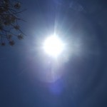 DSCF2030