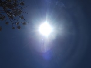 DSCF2030
