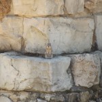 DSCF2048