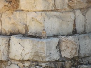 DSCF2048
