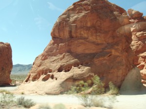 DSCF2176