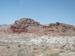 DSCF2204