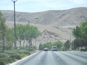 DSCF2310