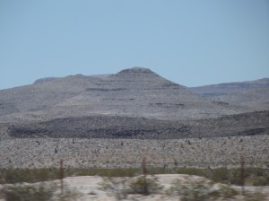 DSCF2311