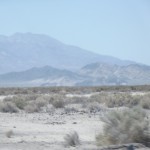 DSCF2325