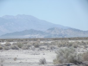 DSCF2325