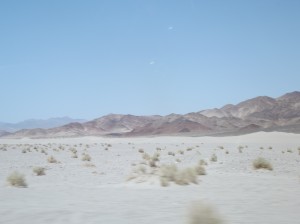 DSCF2350