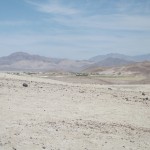 DSCF2359