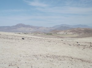 DSCF2359