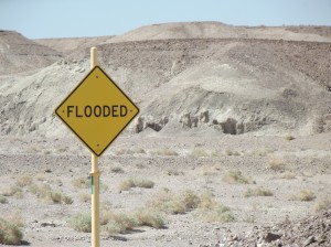 DSCF2361 DSCF2361