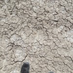 DSCF2366
