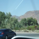 DSCF2374