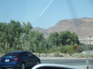 DSCF2374