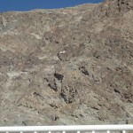 DSCF2414