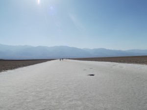 DSCF2422 DSCF2422