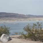 DSCF2521