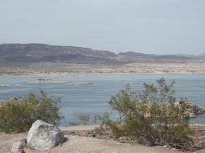 DSCF2521