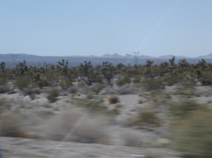 DSCF2548